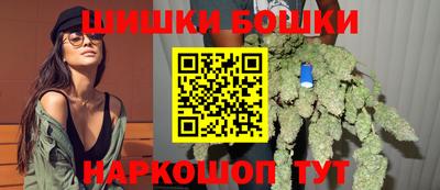 МДПВ Кингисепп