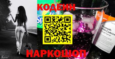 МДПВ Кингисепп
