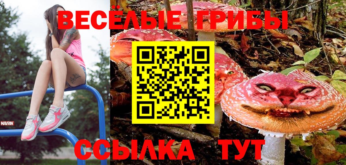 Псилоцибиновые грибы GOLDEN TEACHER Карачаевск