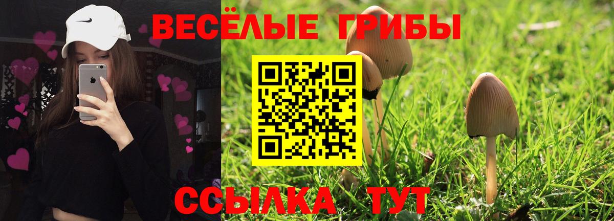 Карачаевск  Галлюциногенные грибы MAGIC MUSHROOMS  Вход с VPN 